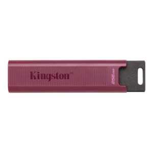 KINGSTON 256Go USB3.2 TypeA DataTraveler | Catalogue | DGTEC Tunisie